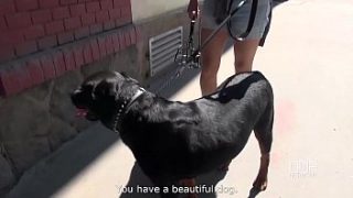 Outdoor Pleasure: Alexis Cherry Takes A Thick Load In Her Mouth