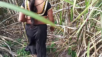 Sensual Desi Stepmom’s Wild Outdoor Fuck In The Sugarcane Field